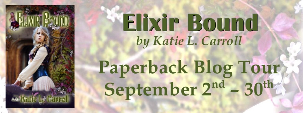 Blog Tour Banner-page0001