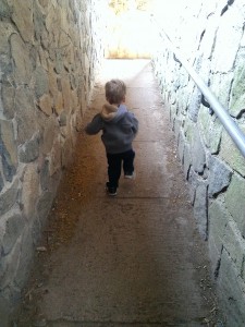 Walking (mostly running) to the top of the castle at Sleeping Giant.